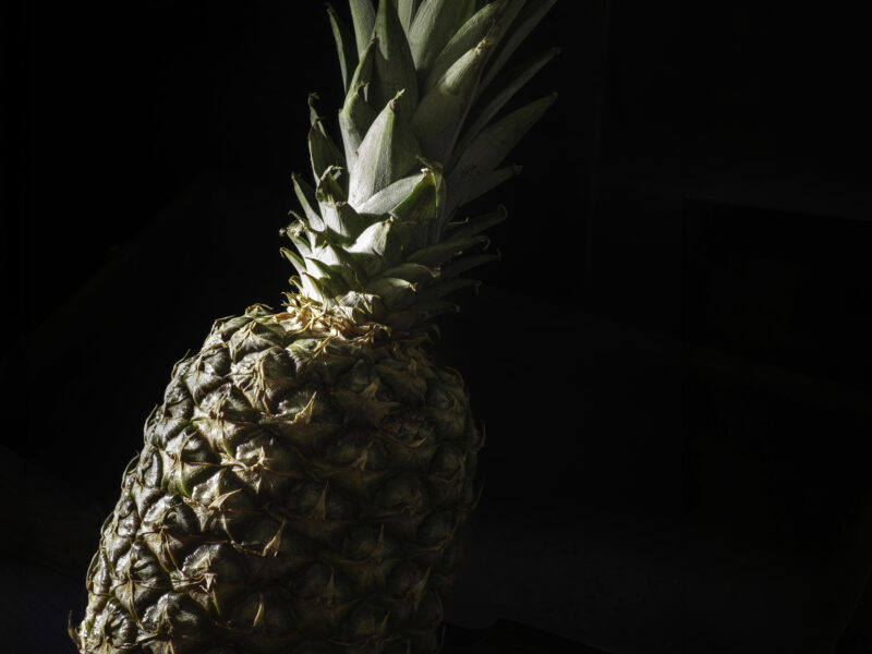 FAS Ananas 2 Food Fotograf Schweinfurt | Foodfotografie Marken