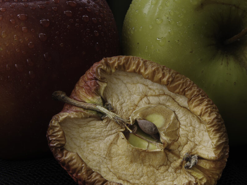 FoodArtStudio Vergaenglichkeit4 1 Food Fotograf Schweinfurt | Foodfotografie Marken