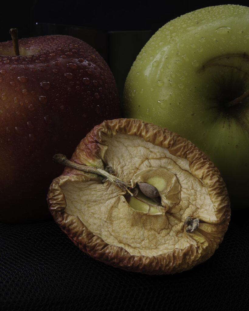 FoodArtStudio Vergaenglichkeit4 1 Food Fotograf Schweinfurt | Foodfotografie Marken