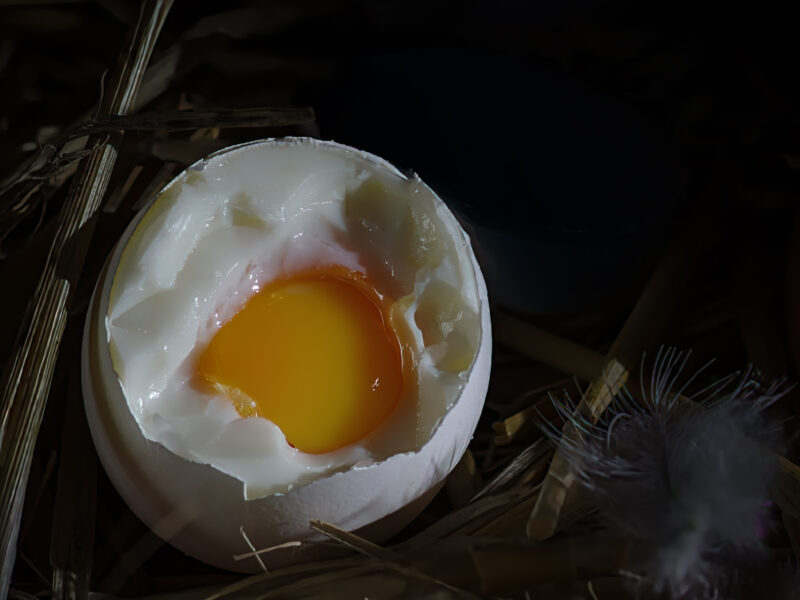 eier03 Food Fotograf Schweinfurt | Foodfotografie Marken