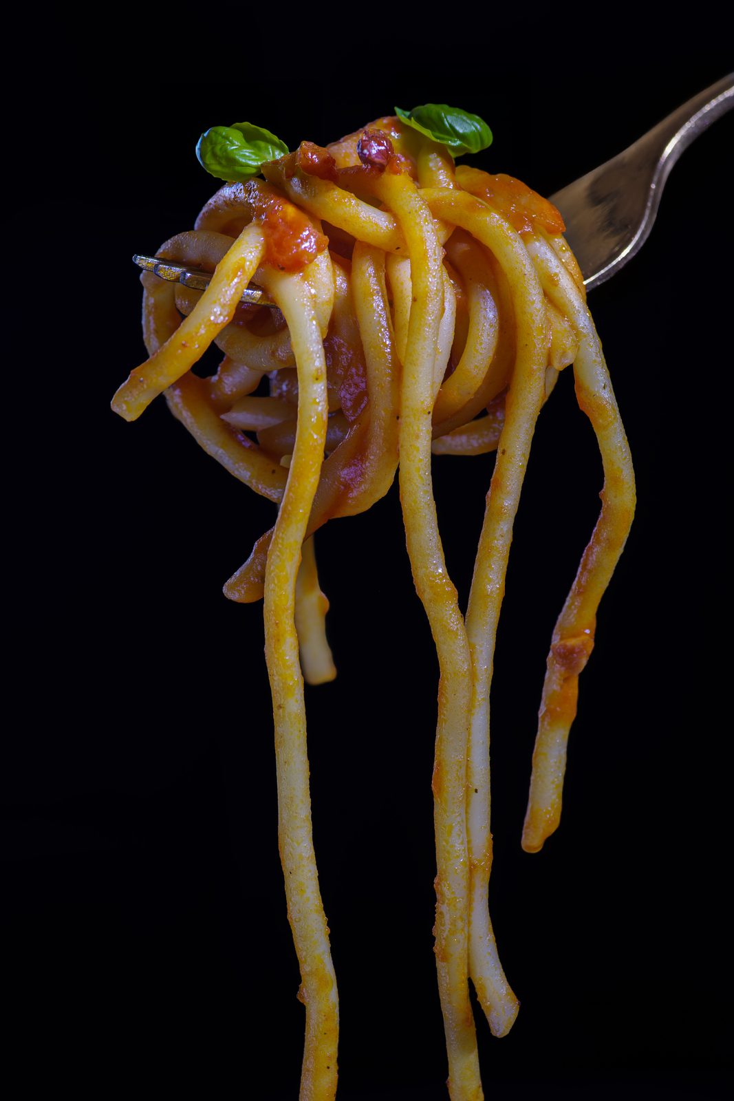 Spaghetti mit Tomatensauce und Basilikum